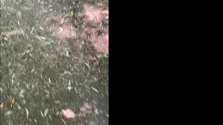 Redheadwinter Throating Thick Dick In The Jungle And Swallow Cum Onlyfans Video