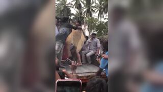 Randi girl dancing naked on tractor in front of villagers in procession
 Indian Video