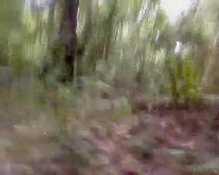 320px x 256px - Virgin nepali girlfriend kissed boyfriend by taking off uniform in jungle  Indian Video